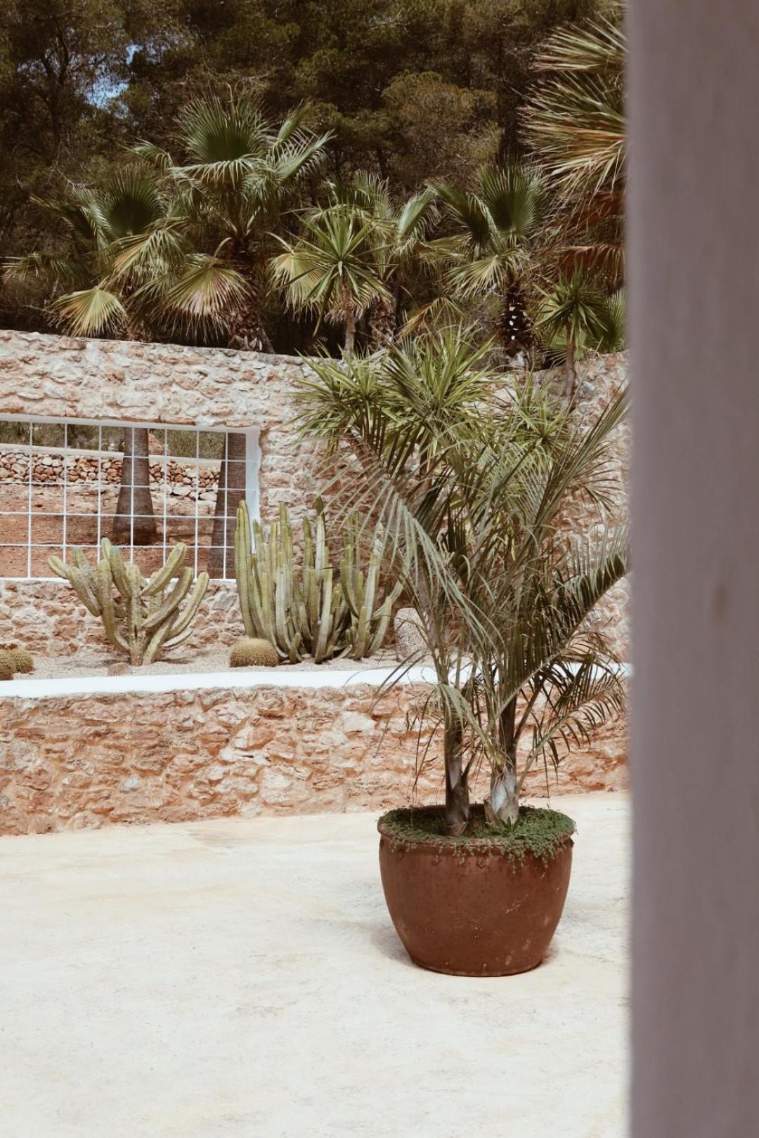 Готель Pure House Ibiza Sant Jordi de ses Salines Екстер'єр фото